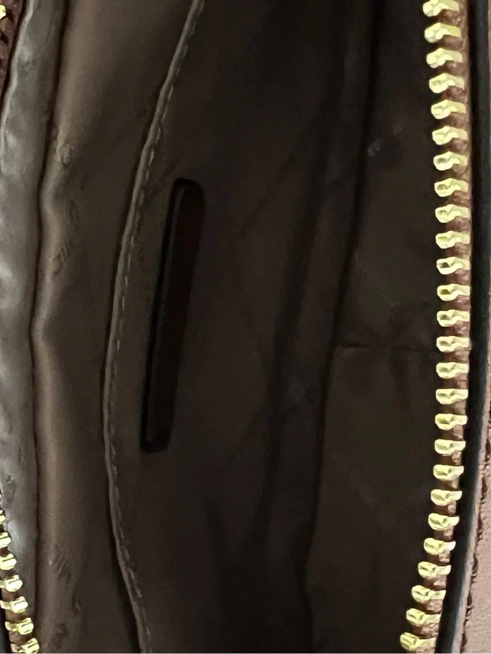 Michael Kors Brown Jet Set East West Crossbody with Gold Chain Accent